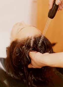 パイドック説明1